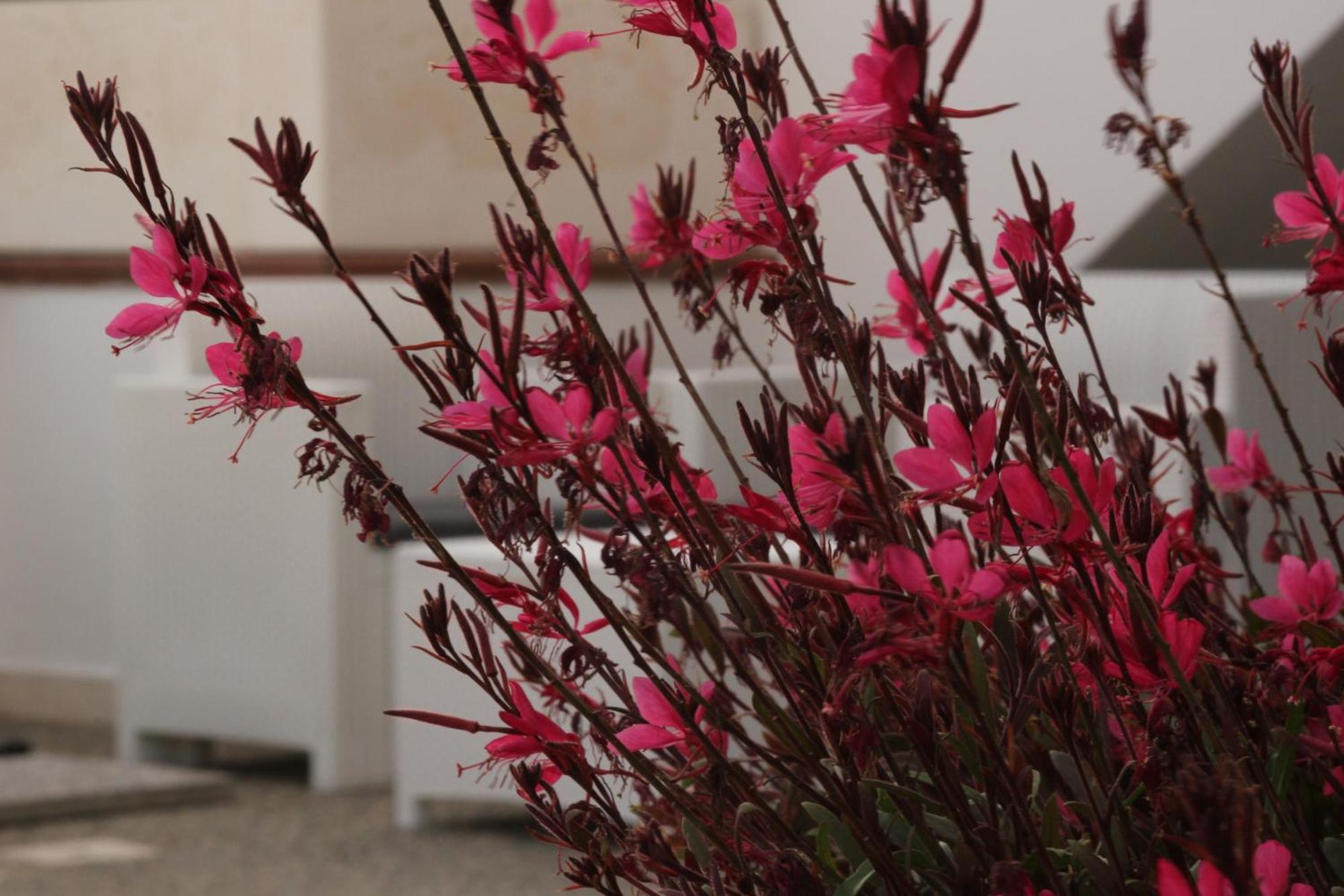 טורה סן ג'ובאני אוג'נטו Residence Mare Azzurro מראה חיצוני תמונה